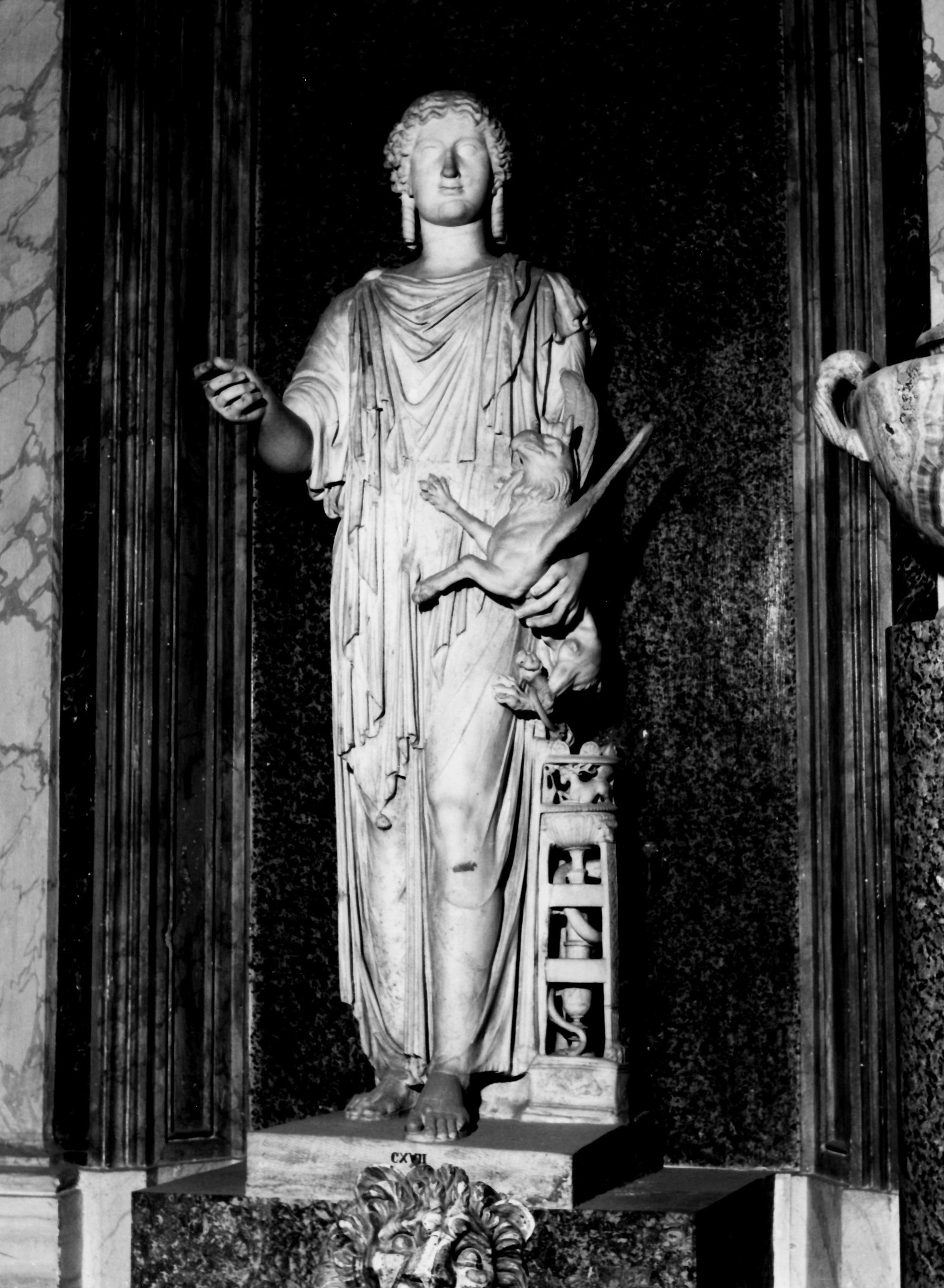 vedi foto